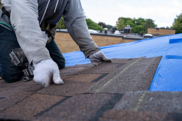 Best Best Roofing Contractors  in El Dorado Hills, CA